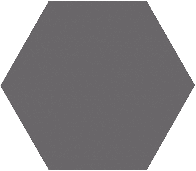 Настенная плитка Kerama Marazzi Линьяно Серый 24005 20х23.1