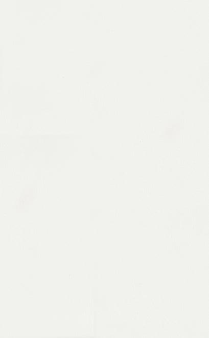 Настенная плитка Kerama Marazzi Петергоф Белый 6304 25х40