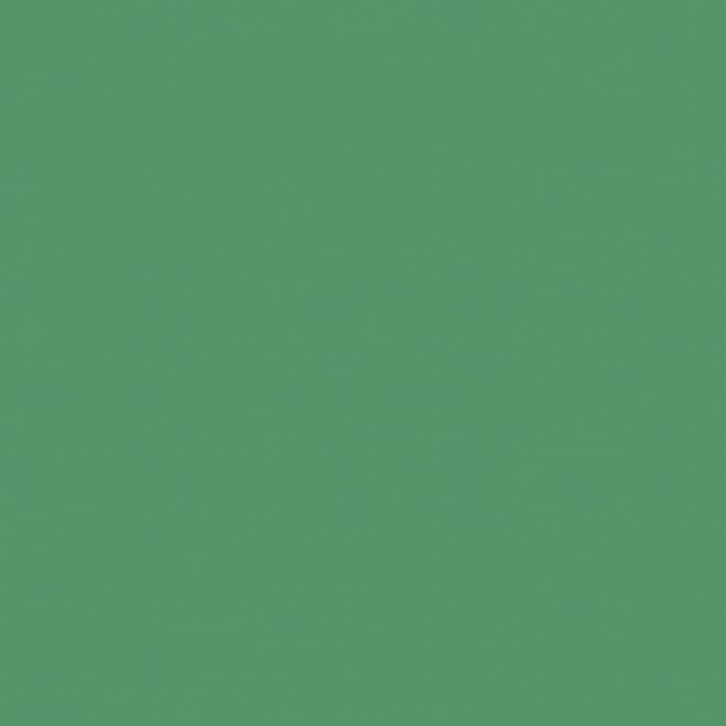 Керамогранит Kerama Marazzi Радуга Зеленый Обрезной SG618500R 60x60