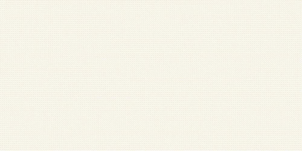 Настенная плитка Italon Room White Texture 40x80