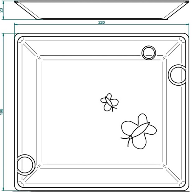 Поднос фарфоровый настольный 22х19.8 см. THG Capucine Vert Decor Platine A7E-A02-4614 (платина, зеленый, белый)