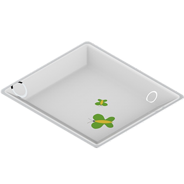 Поднос фарфоровый настольный 22х19.8 см. THG Capucine Vert Decor Platine A7E-A02-4614 (платина, зеленый, белый)