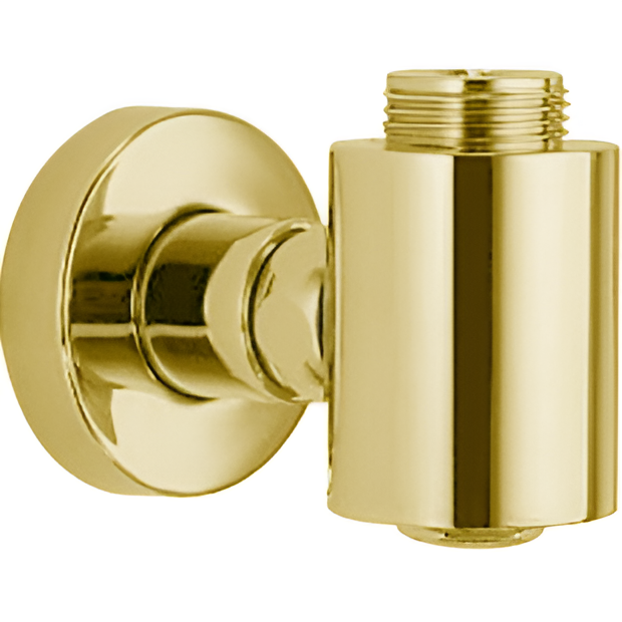 Шланговое подключение Fima Carlo Frattini Wellness F2123OR (золотой)