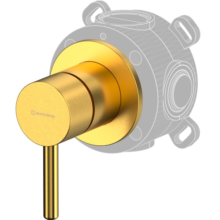 Золото Брашированное