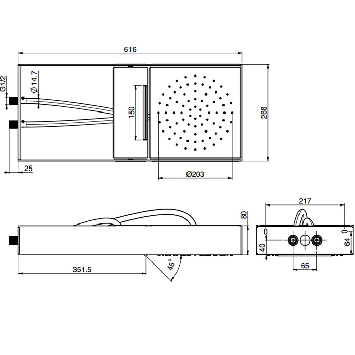 Верхний душ потолочный подвесной 61.6х26.6см Fima Carlo Frattini Soffioni F2992NINOX (черный, нержавеющая сталь)