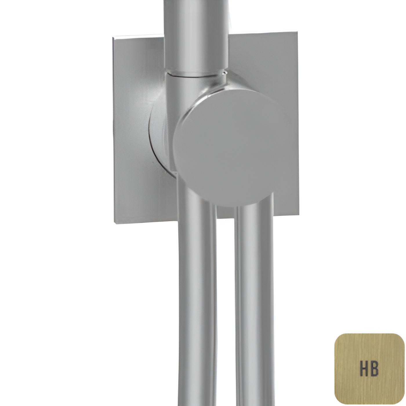 Вывод воды для душа с держателем и шлангом 150см Almar E192001.HB (латунь брашированная)