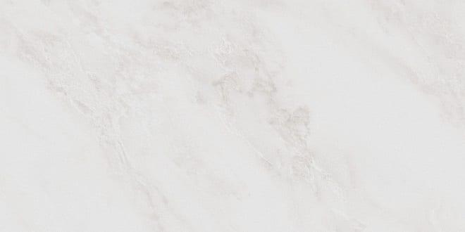 Керамогранит Kerama Marazzi Парнас Светлый SG810000R 40х80